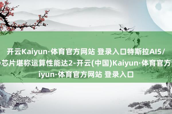 开云Kaiyun·体育官方网站 登录入口特斯拉AI5/HW5下代FSD芯片堪称运算性能达2-开云(中国)Kaiyun·体育官方网站 登录入口