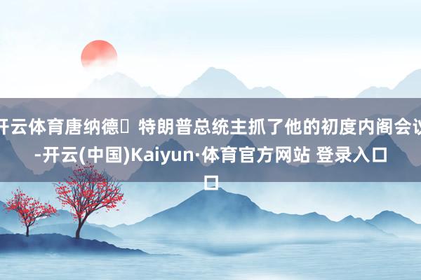 开云体育唐纳德・特朗普总统主抓了他的初度内阁会议-开云(中国)Kaiyun·体育官方网站 登录入口